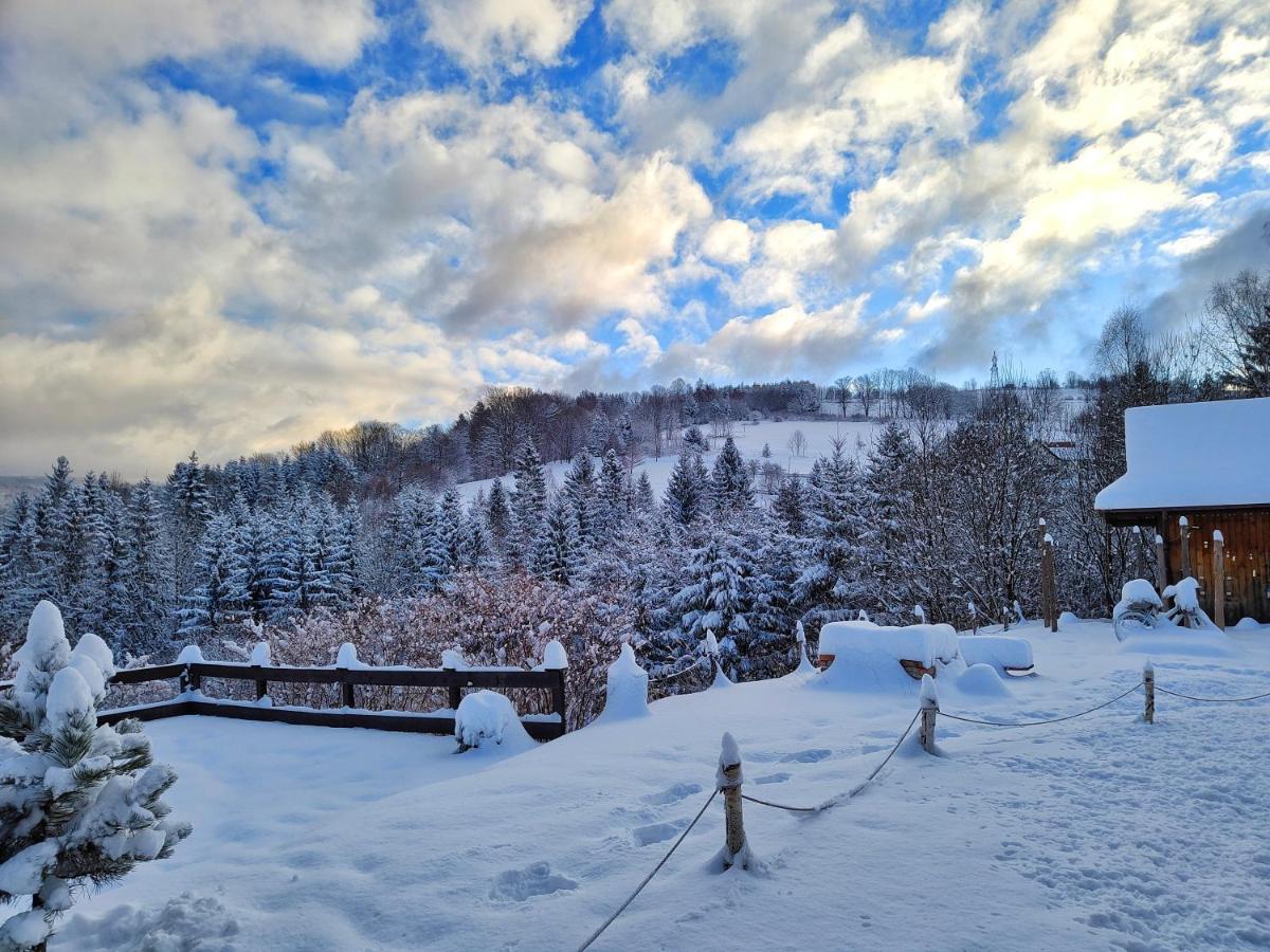 Bed and Breakfast Czarna Owca Istebna Exterior foto