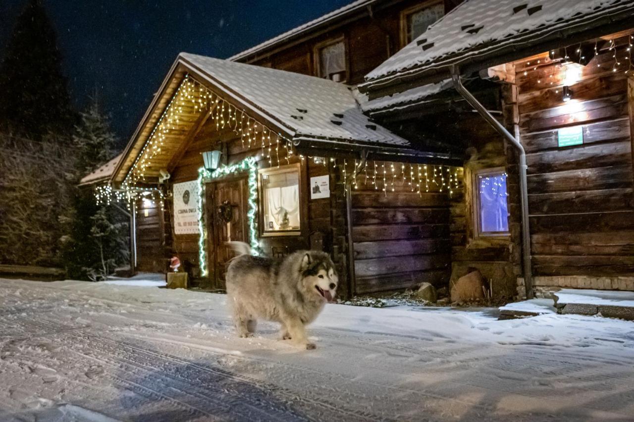 Bed and Breakfast Czarna Owca Istebna Exterior foto