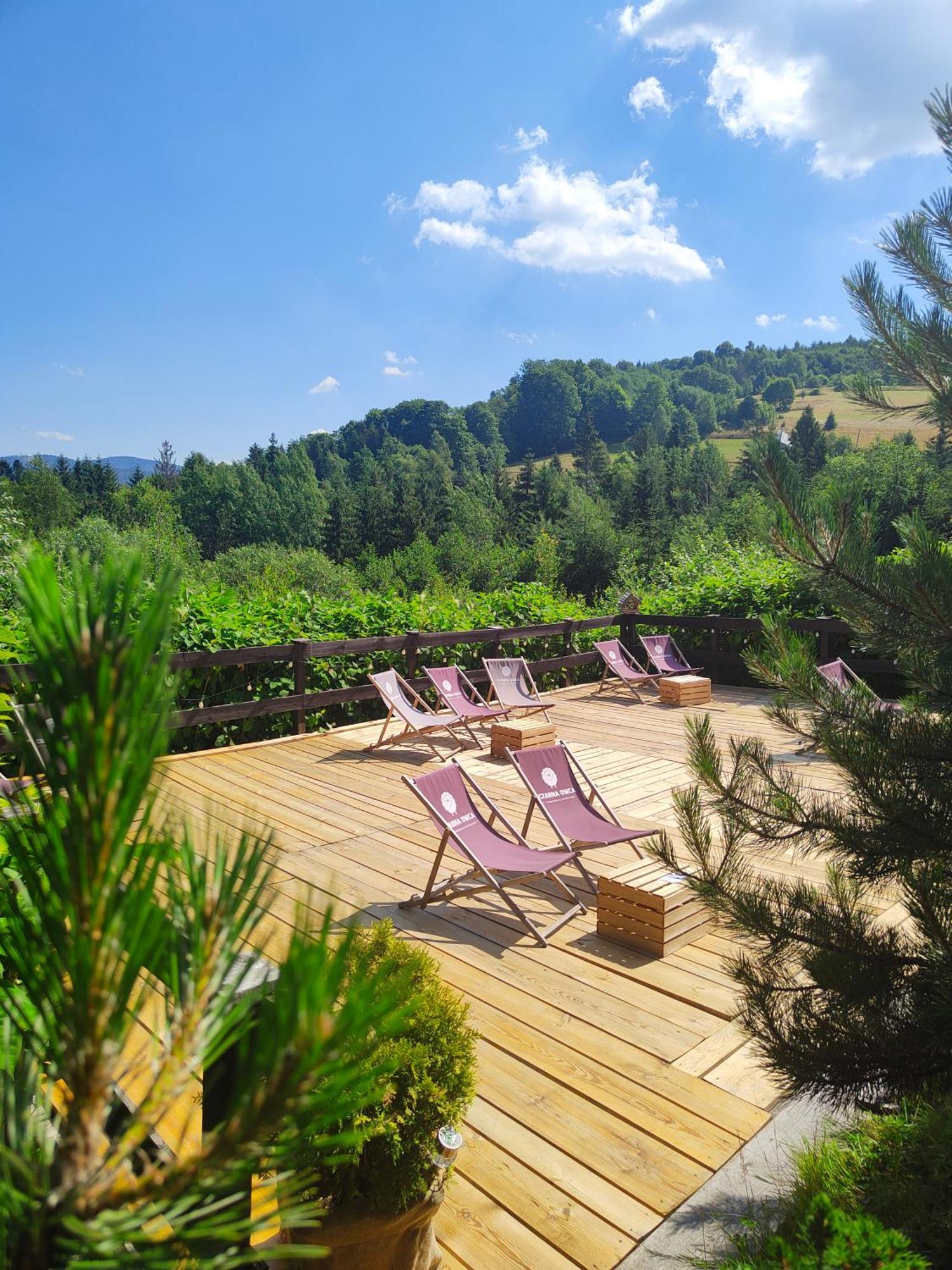 Bed and Breakfast Czarna Owca Istebna Exterior foto